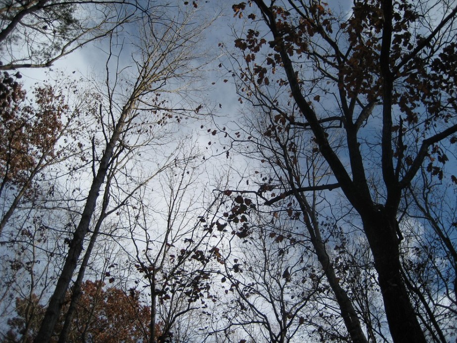 4822316979_aaa5a2af33_oReduc