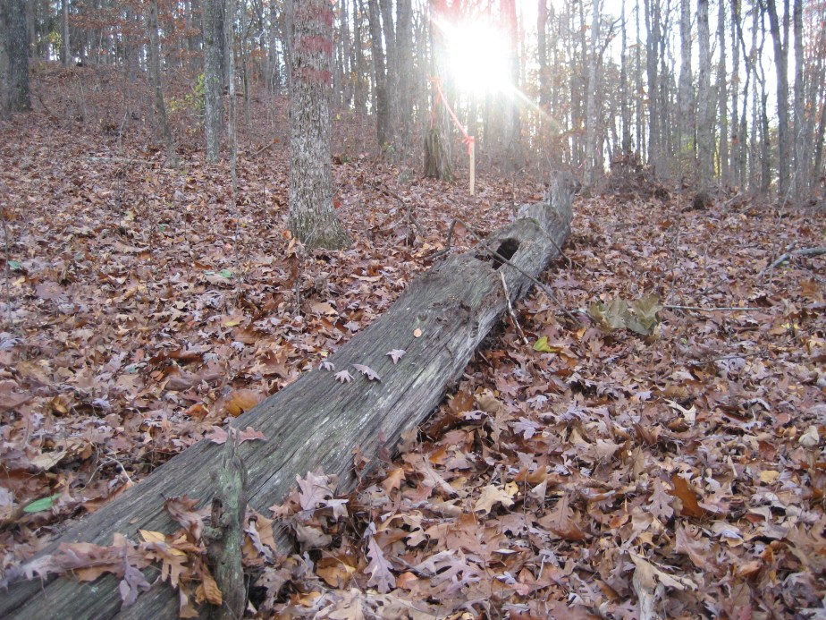 4822970244_7bc9192232_o