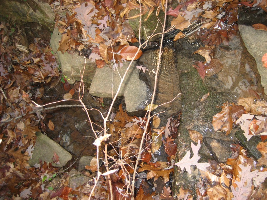 4822970250_02de3c8eef_o